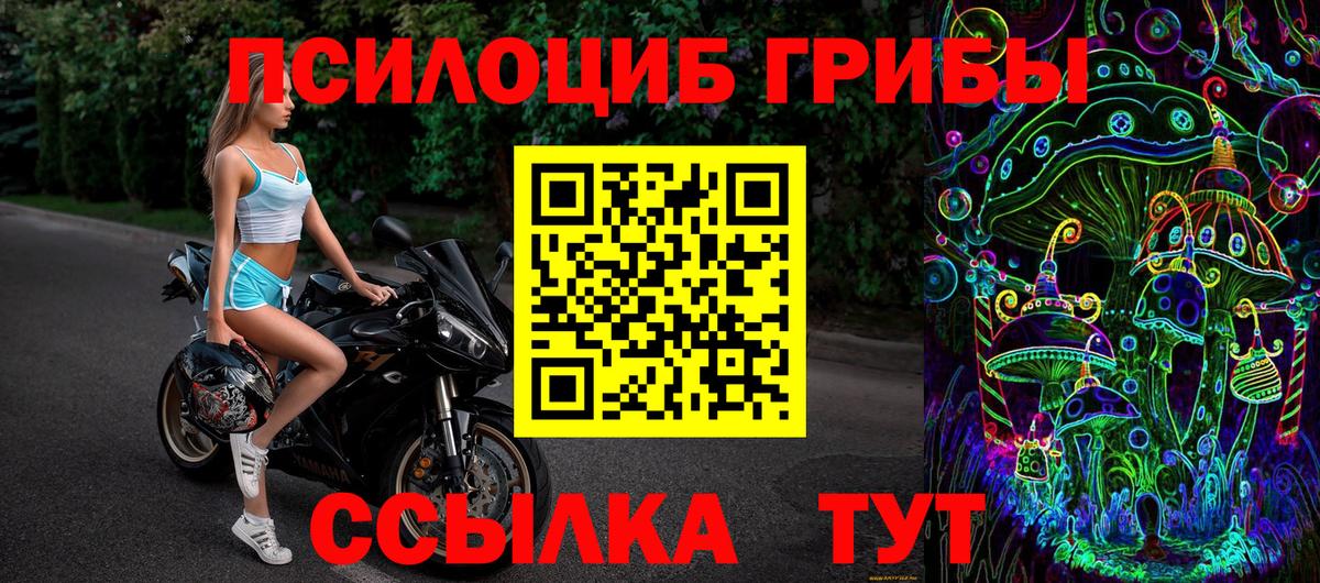 Тольятти  Галлюциногенные грибы мицелий  Галлюциногенные грибы Psilocybe  Вход с VPN 